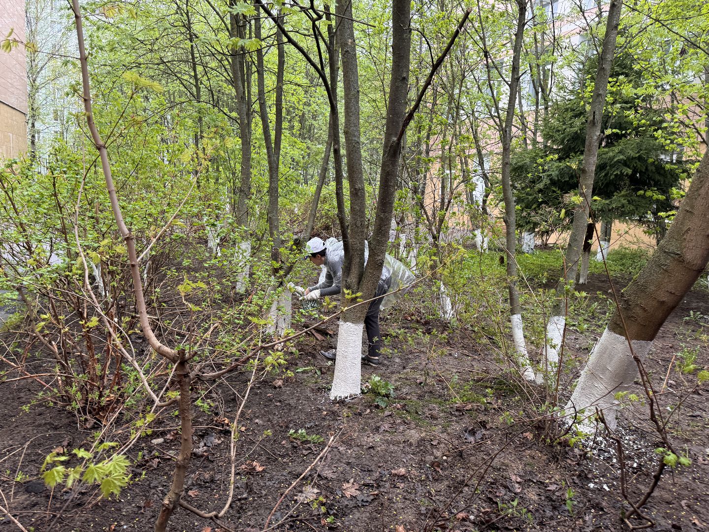 Одинцово, День добрых дел, Подмосковье,