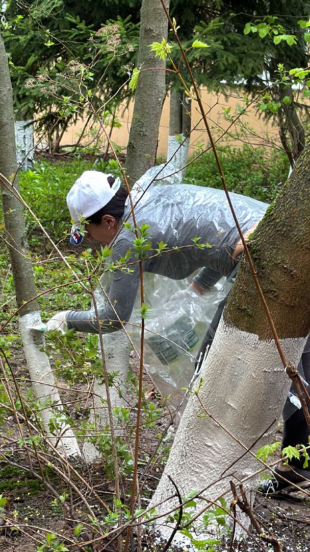 Одинцово, День добрых дел, Подмосковье,