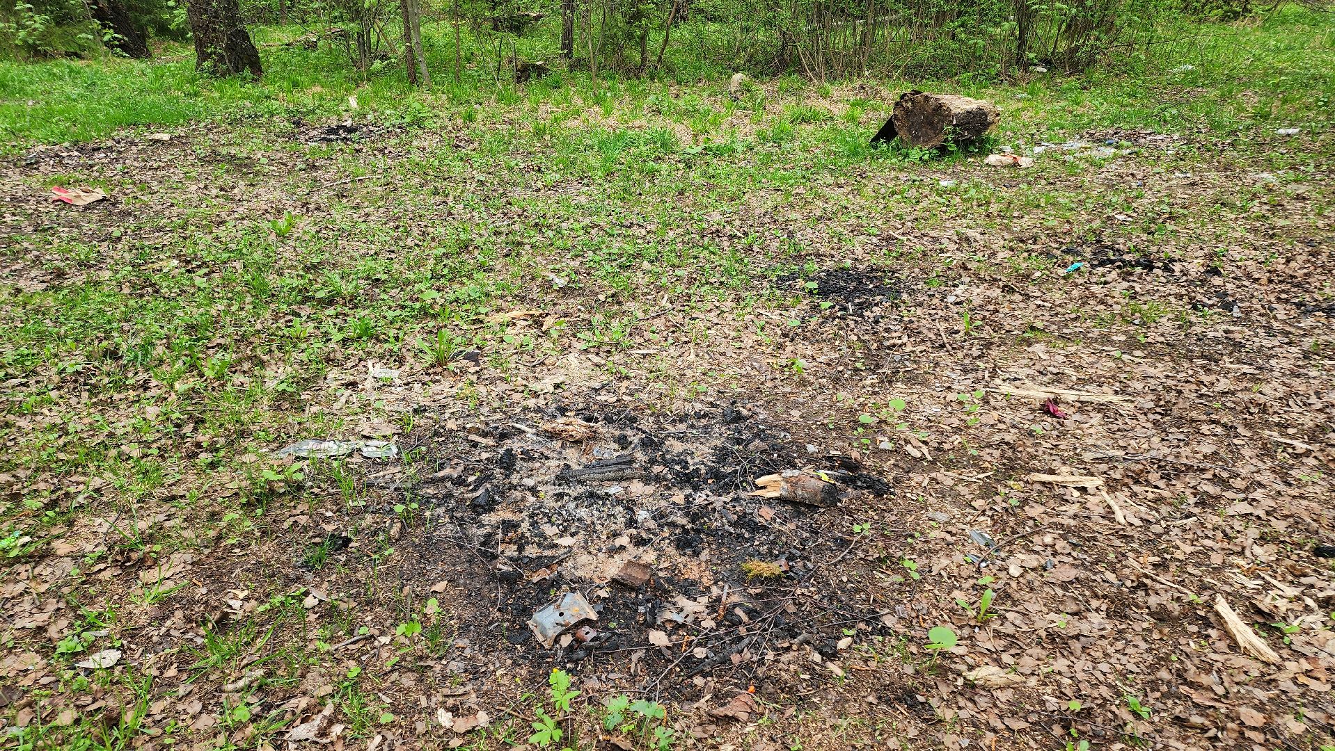 кашира, пожарная безопасность, огнеопасный период, штрафы, разведение костров в неположенных местах, березовая роща,