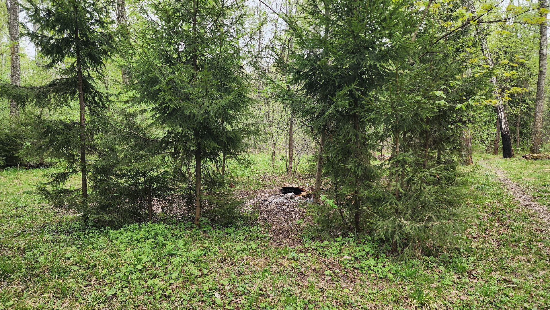 кашира, пожарная безопасность, огнеопасный период, штрафы, разведение костров в неположенных местах, березовая роща,