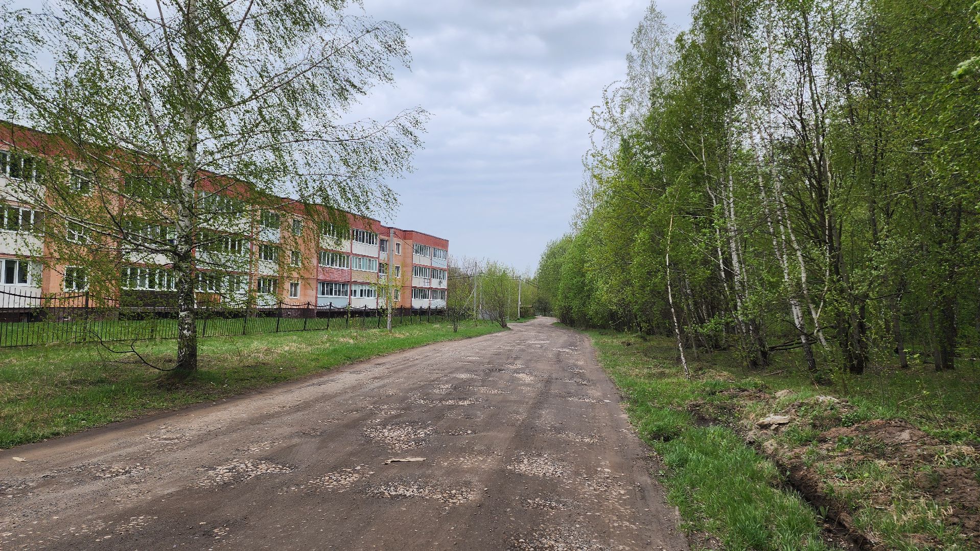 кашира, пожарная безопасность, огнеопасный период, штрафы, разведение костров в неположенных местах, березовая роща,