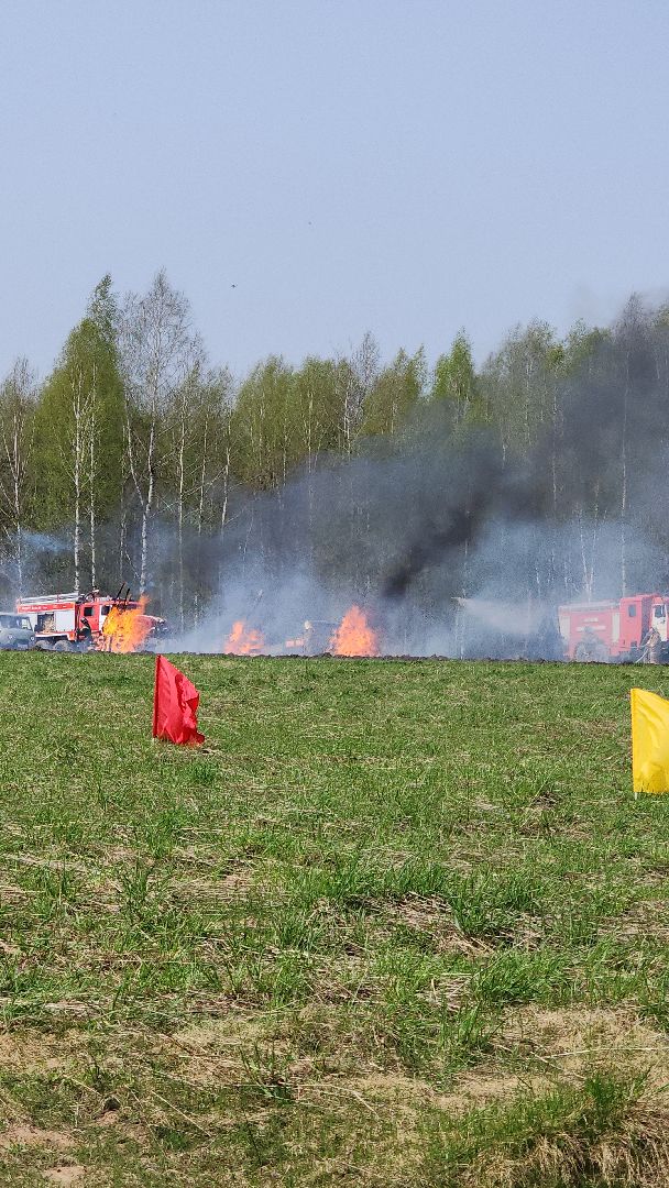 тактико-специальные учения, пожароопасный сезон, тушение пожаров, деревня Боровково, Богородский городской округ,