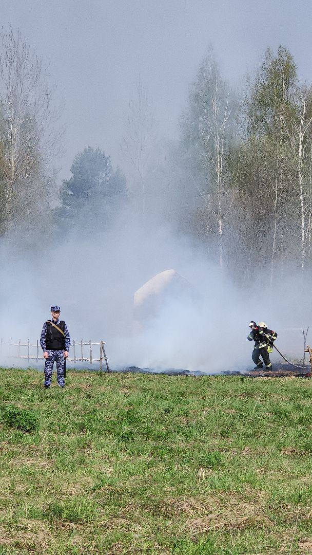 тактико-специальные учения, пожароопасный сезон, тушение пожаров, деревня Боровково, Богородский городской округ,