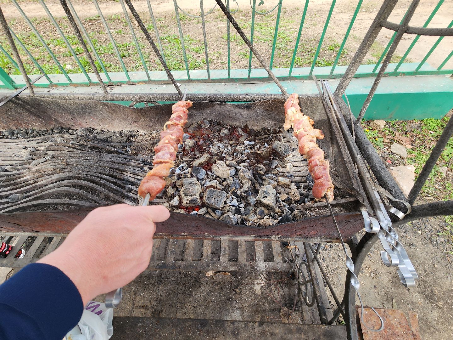 пушкино, берёзовая роща, шашлыки, отдых на природе,