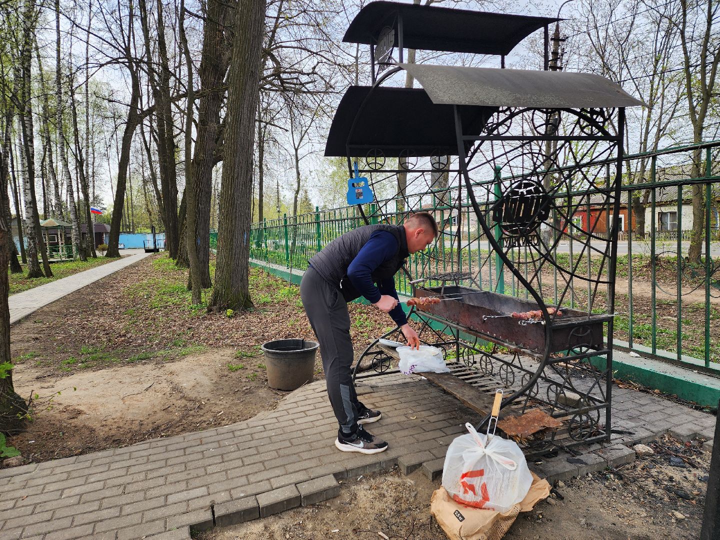 пушкино, берёзовая роща, шашлыки, отдых на природе,