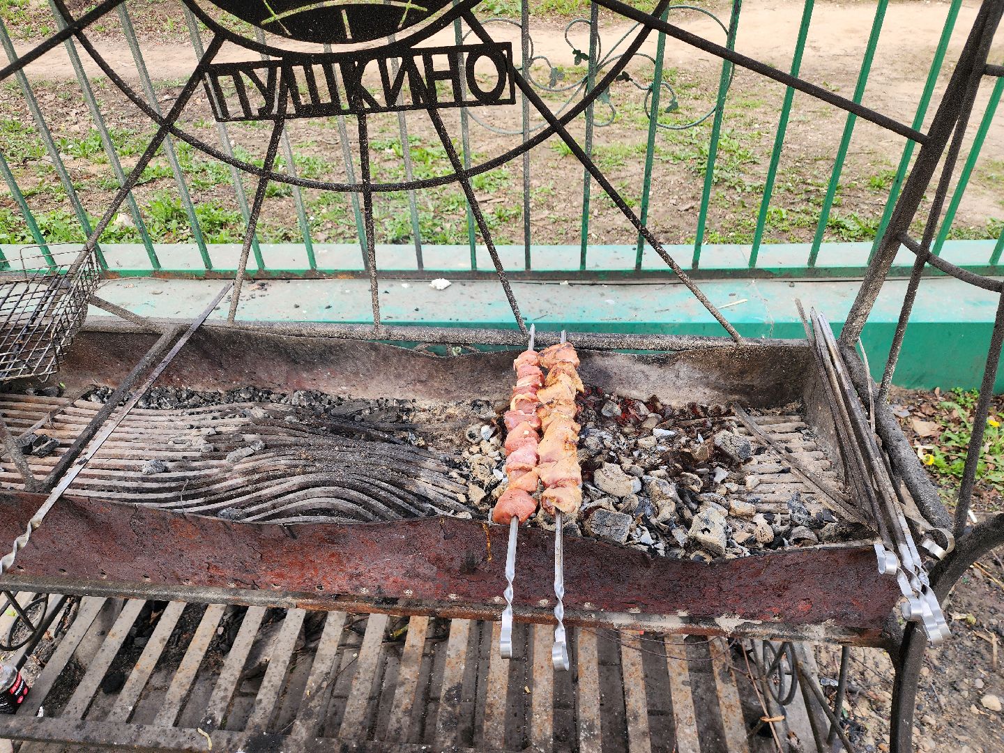 пушкино, берёзовая роща, шашлыки, отдых на природе,