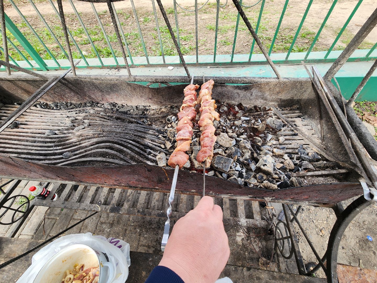 пушкино, берёзовая роща, шашлыки, отдых на природе,