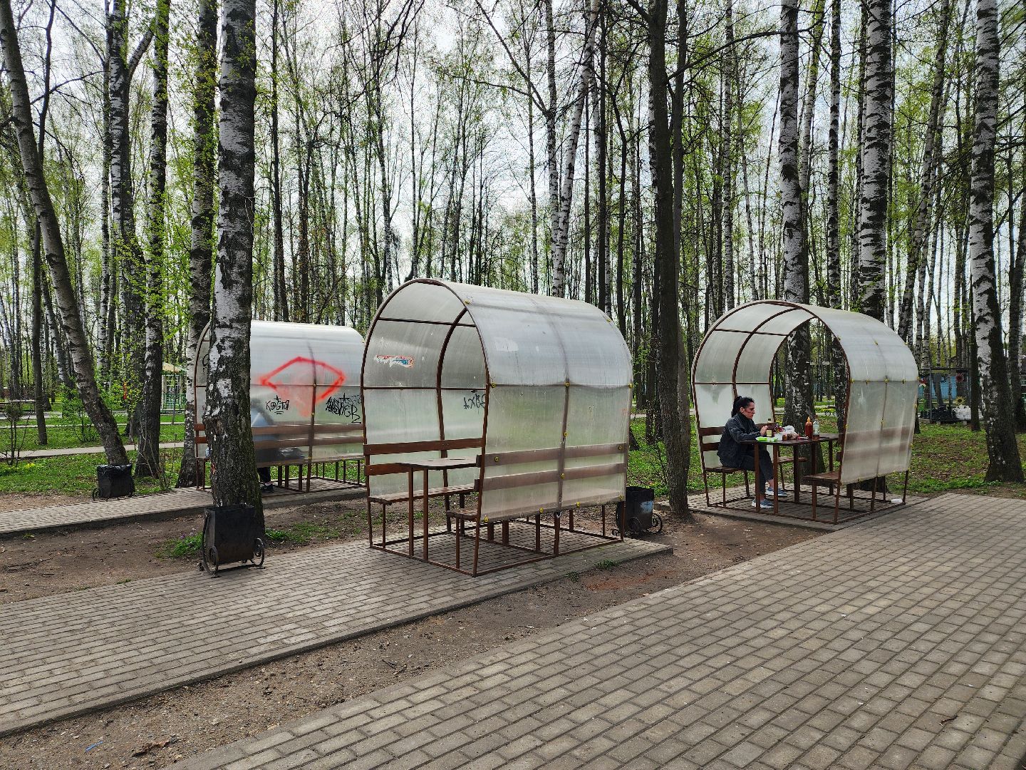 пушкино, берёзовая роща, шашлыки, отдых на природе,