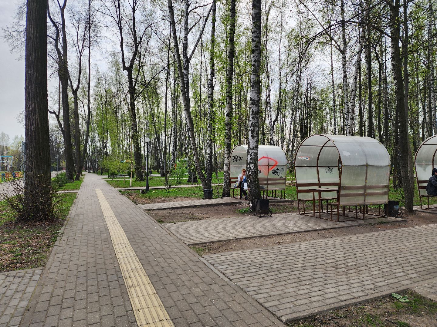 пушкино, берёзовая роща, шашлыки, отдых на природе,