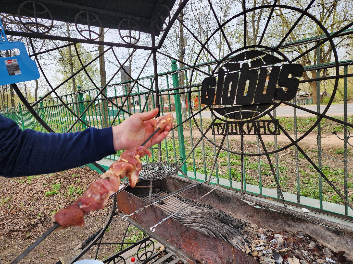 пушкино, берёзовая роща, шашлыки, отдых на природе,