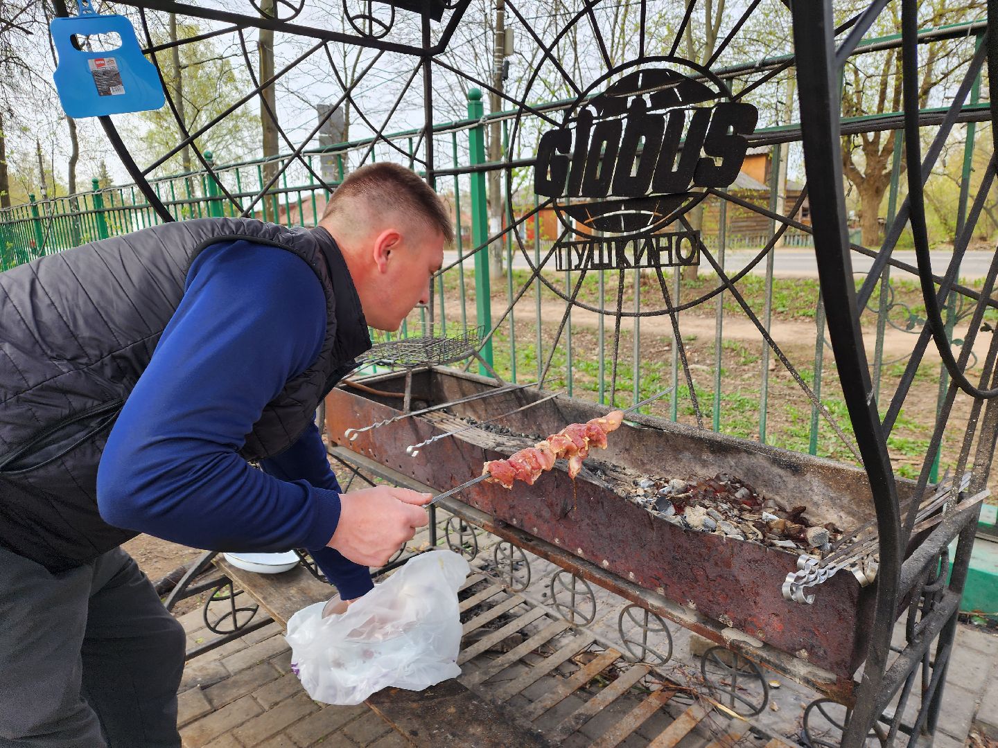 пушкино, берёзовая роща, шашлыки, отдых на природе,