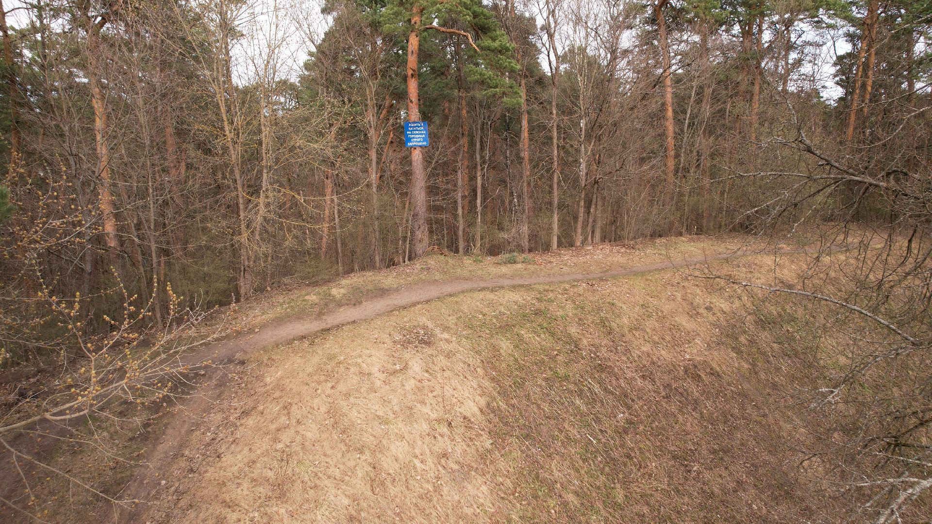 видео с коптера, звенигород, культура, история,