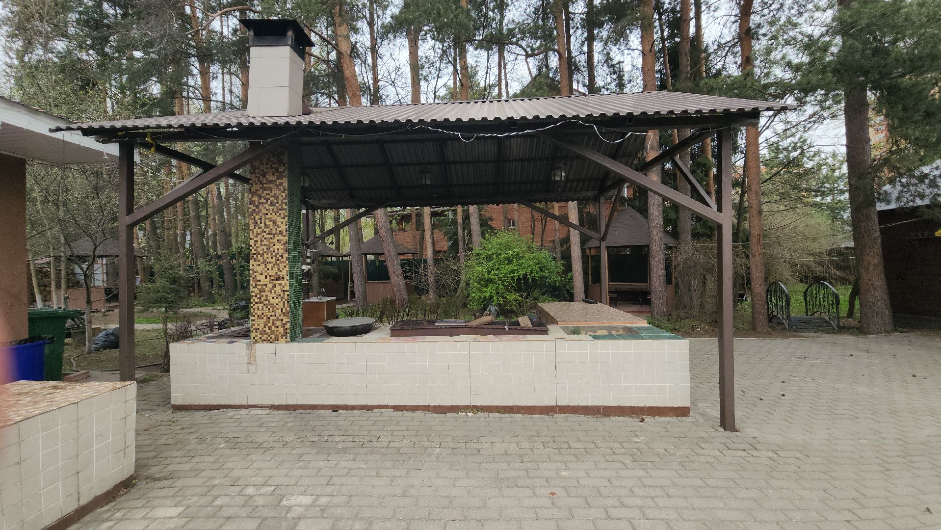 пушкино, шашлыки, зона для отдыха, снт,