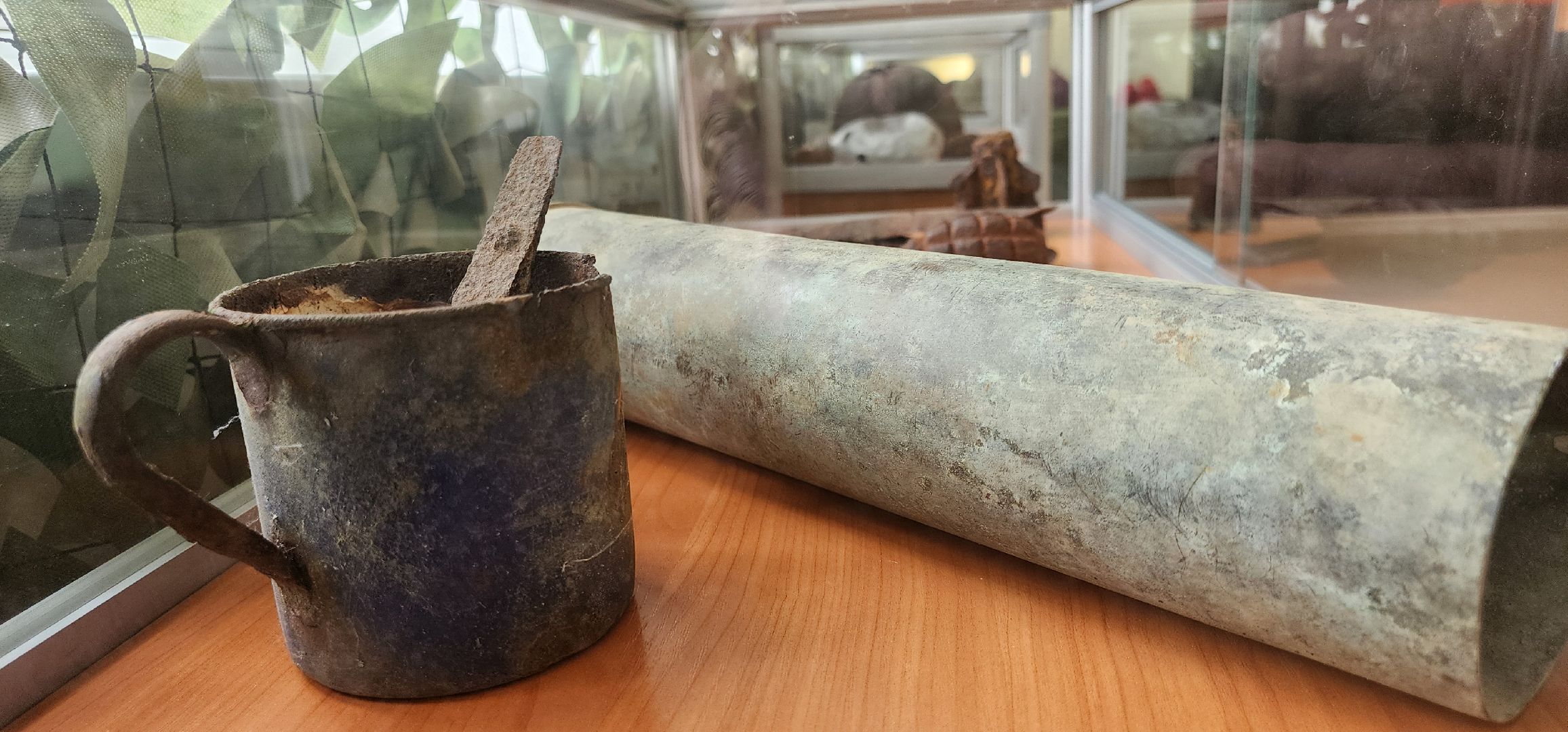 музей СВО, Вечный ZoV, школа 9, Домодедово,