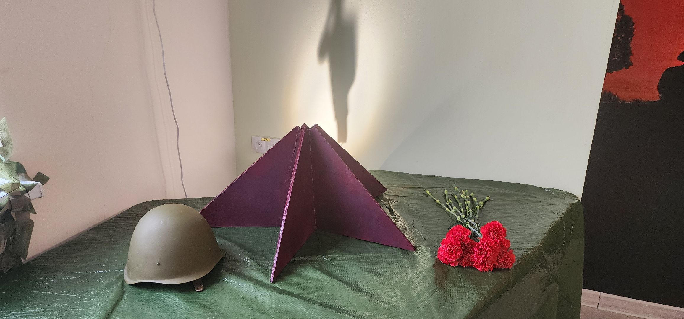 музей СВО, Вечный ZoV, школа 9, Домодедово,