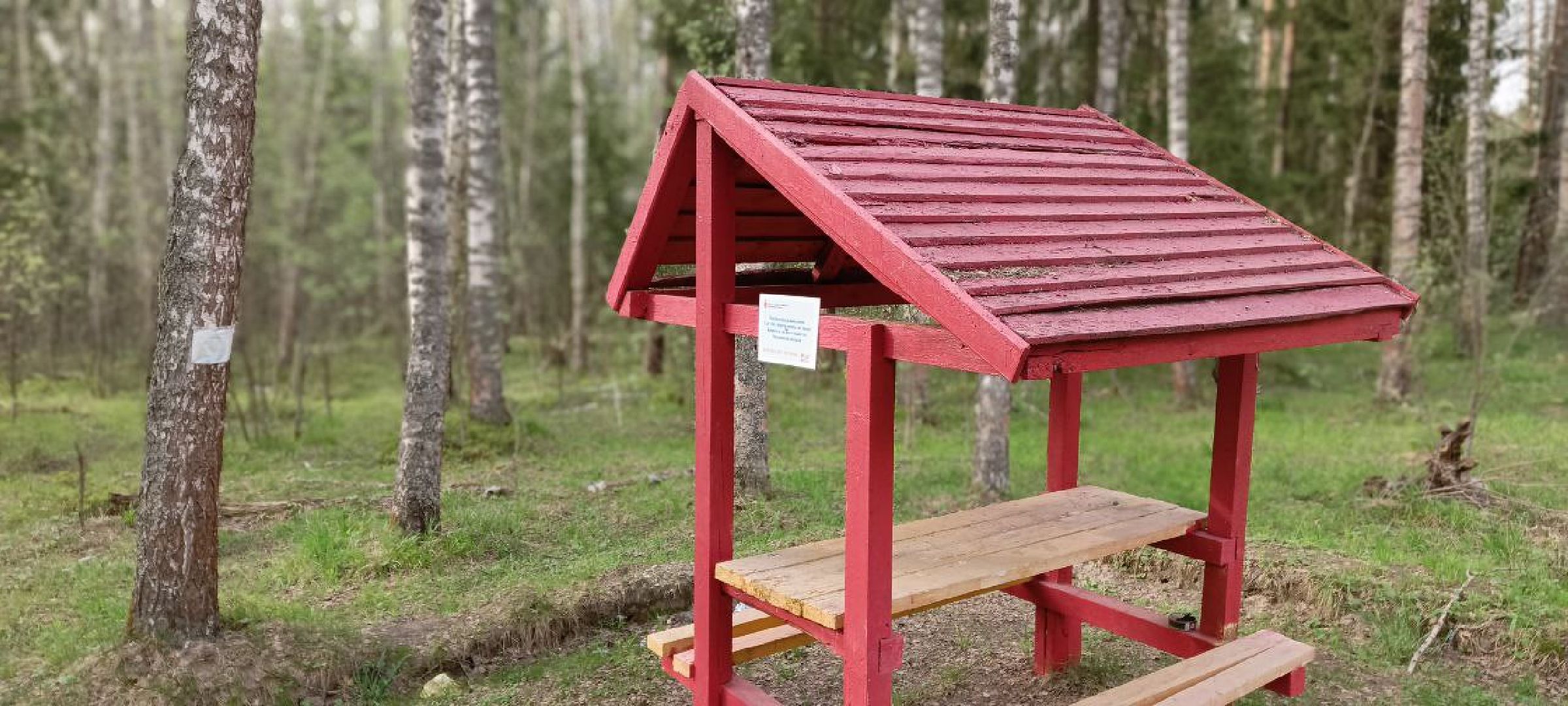 Талдом, Талдомское лесничество,