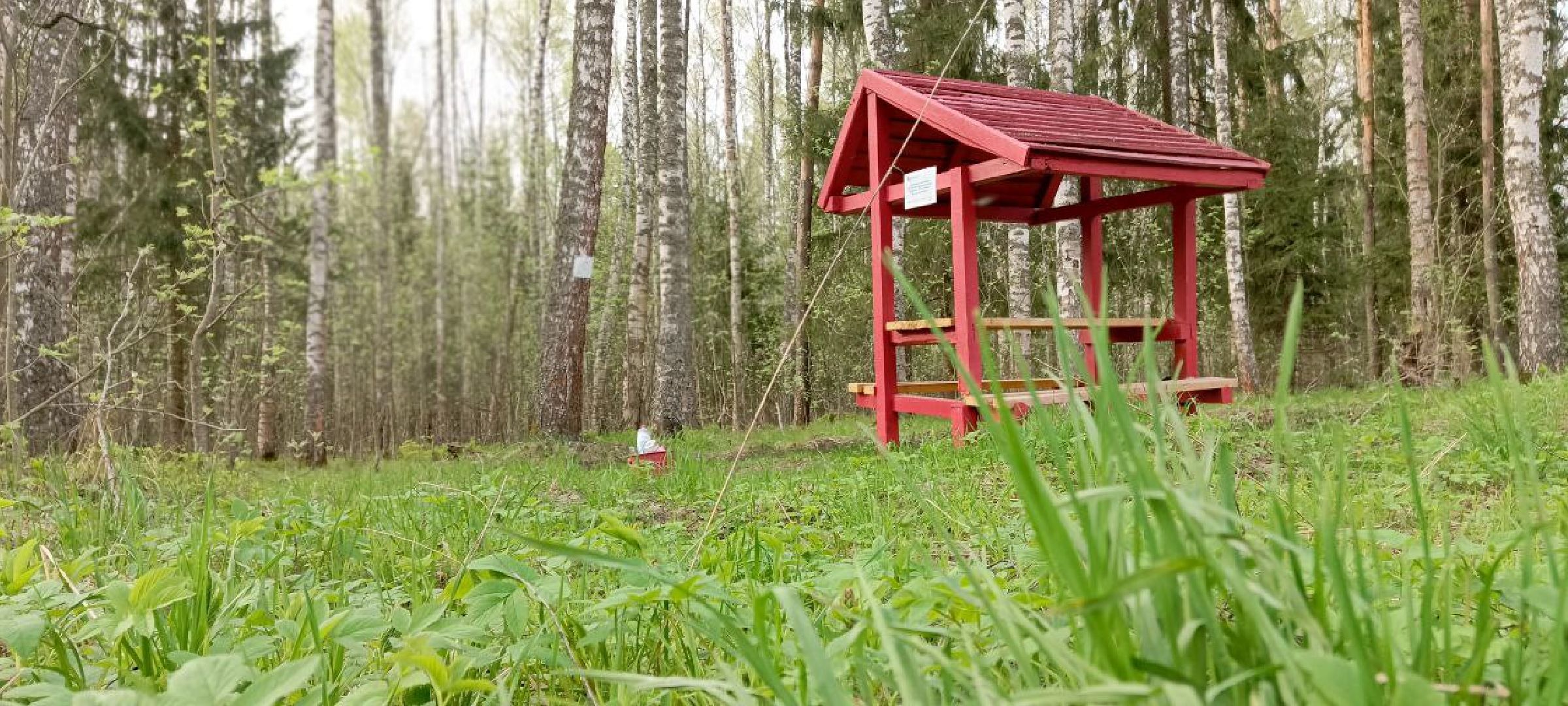 Талдом, Талдомское лесничество,