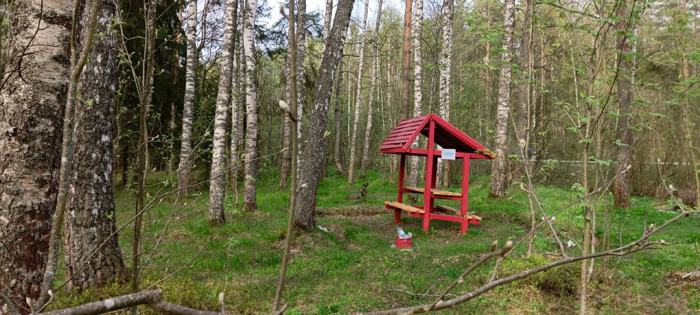 Талдом, Талдомское лесничество,