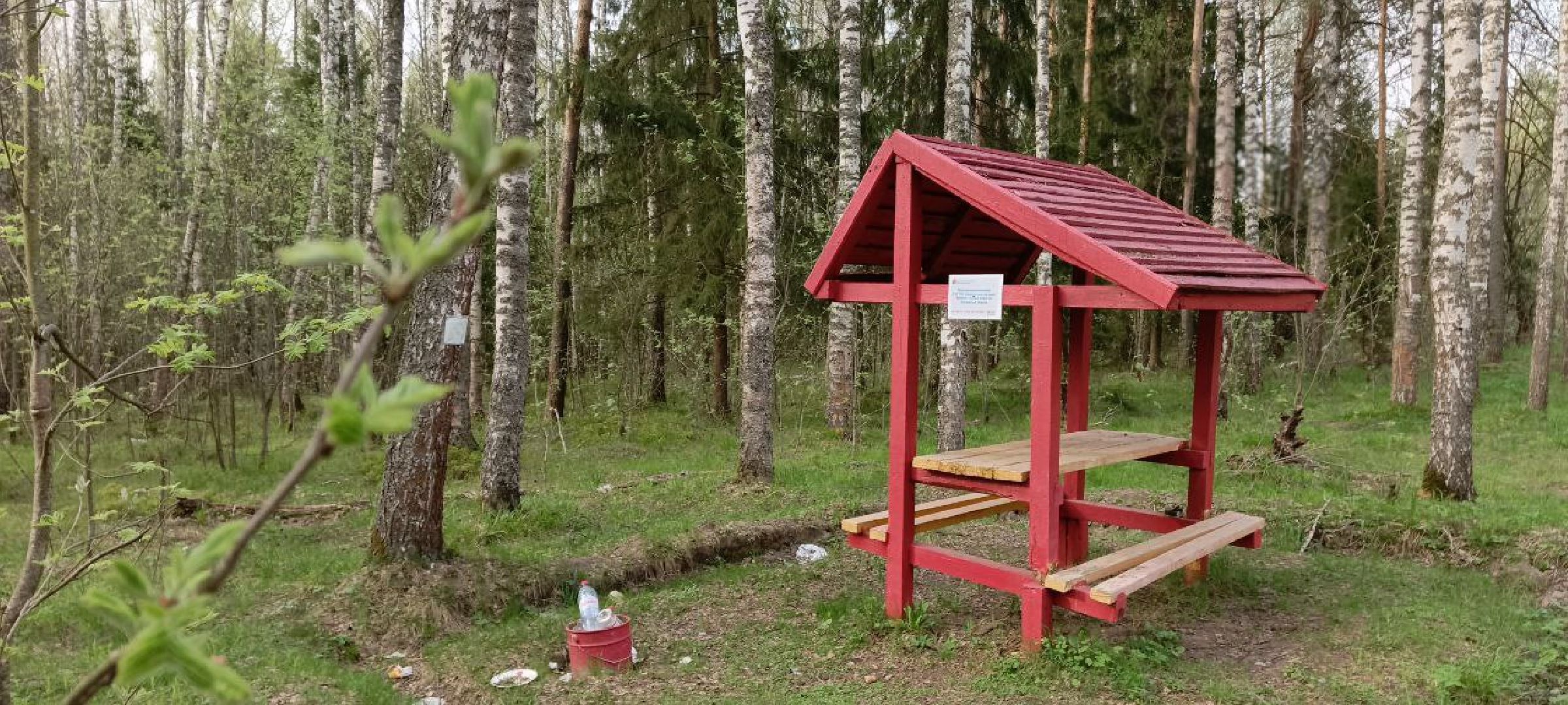 Талдом, Талдомское лесничество,