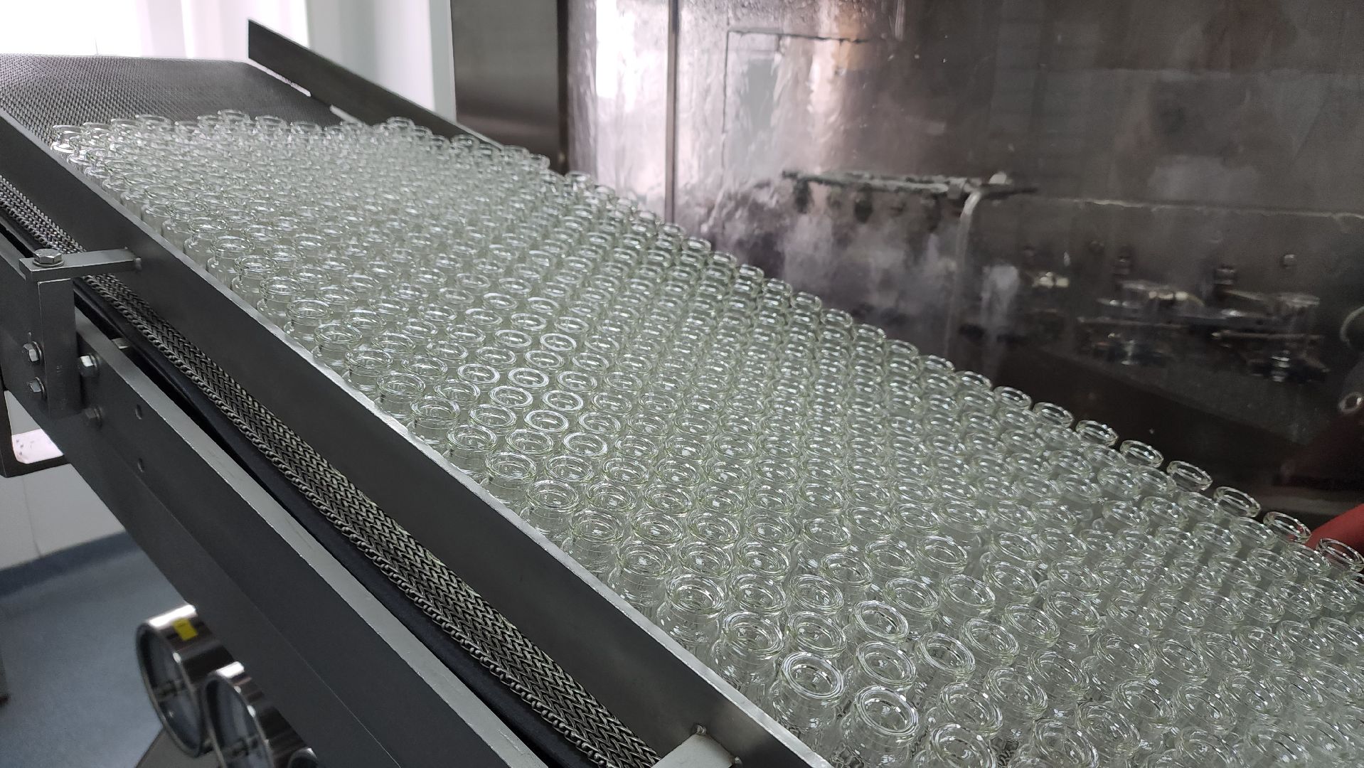 наука, инновации, Щелковский биокомбинат, биологическая безопасность, предприятие, Минсельхоз, Лосино-Петровский, вакцинация животных,