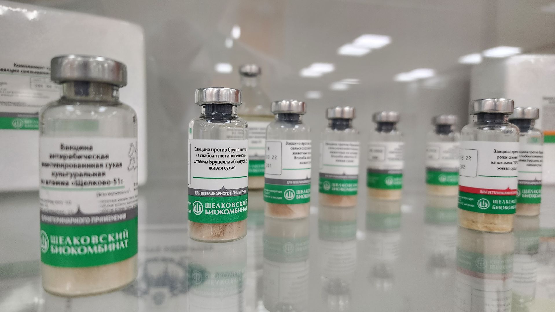 наука, инновации, Щелковский биокомбинат, биологическая безопасность, предприятие, Минсельхоз, Лосино-Петровский, вакцинация животных,