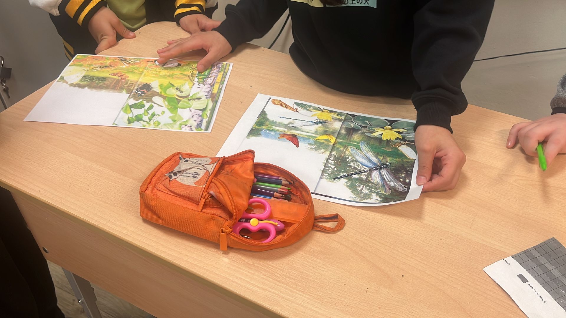 школа, день добрых дел, экология,