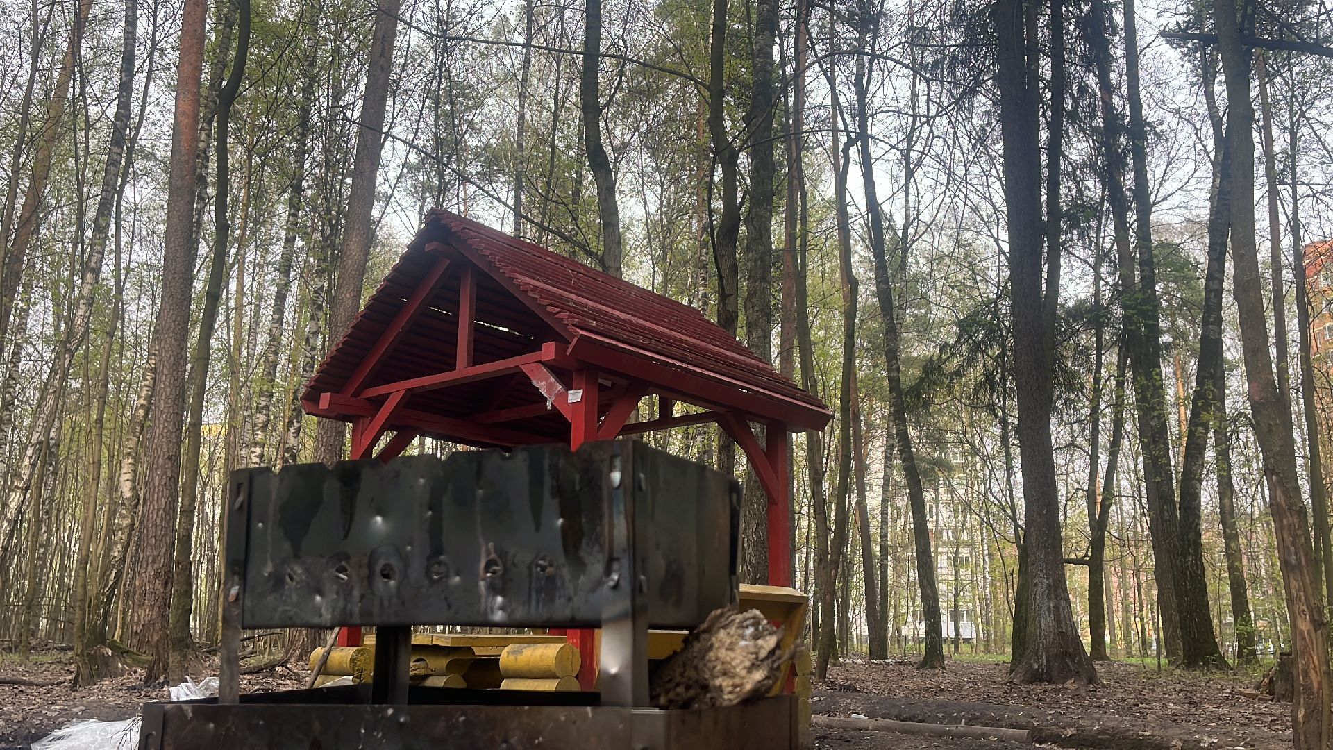 шашлык, шашлыки, шашлык в лесу, жарить шашлык, мангал, место для мангала,