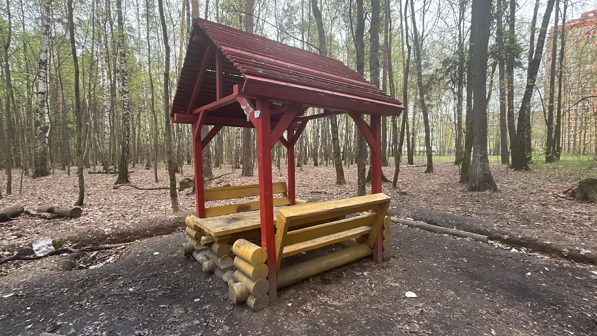 шашлык, шашлыки, шашлык в лесу, жарить шашлык, мангал, место для мангала,