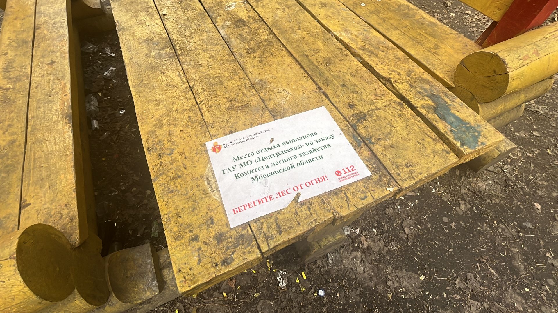 шашлык, шашлыки, шашлык в лесу, жарить шашлык, мангал, место для мангала,