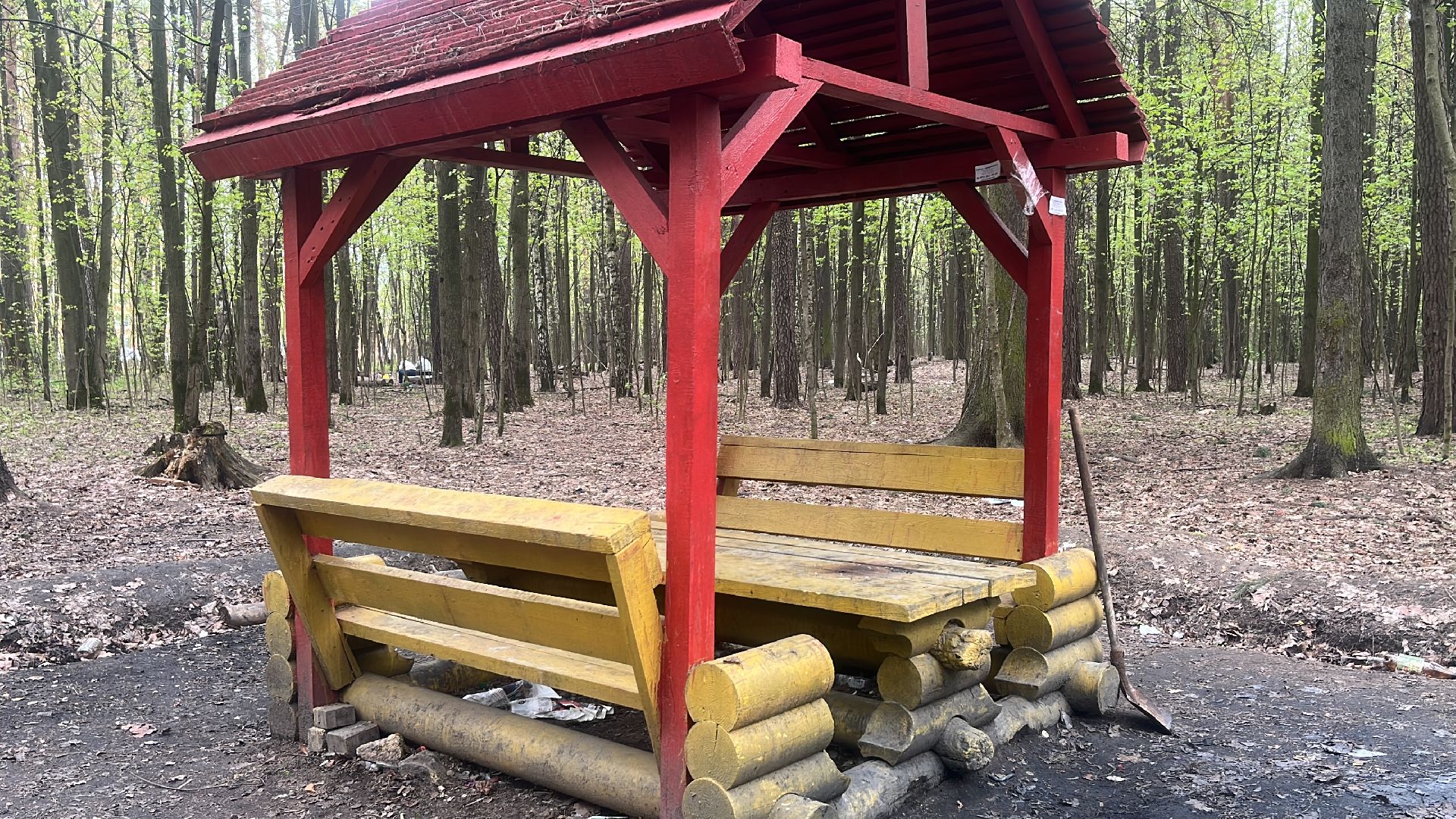 шашлык, шашлыки, шашлык в лесу, жарить шашлык, мангал, место для мангала,