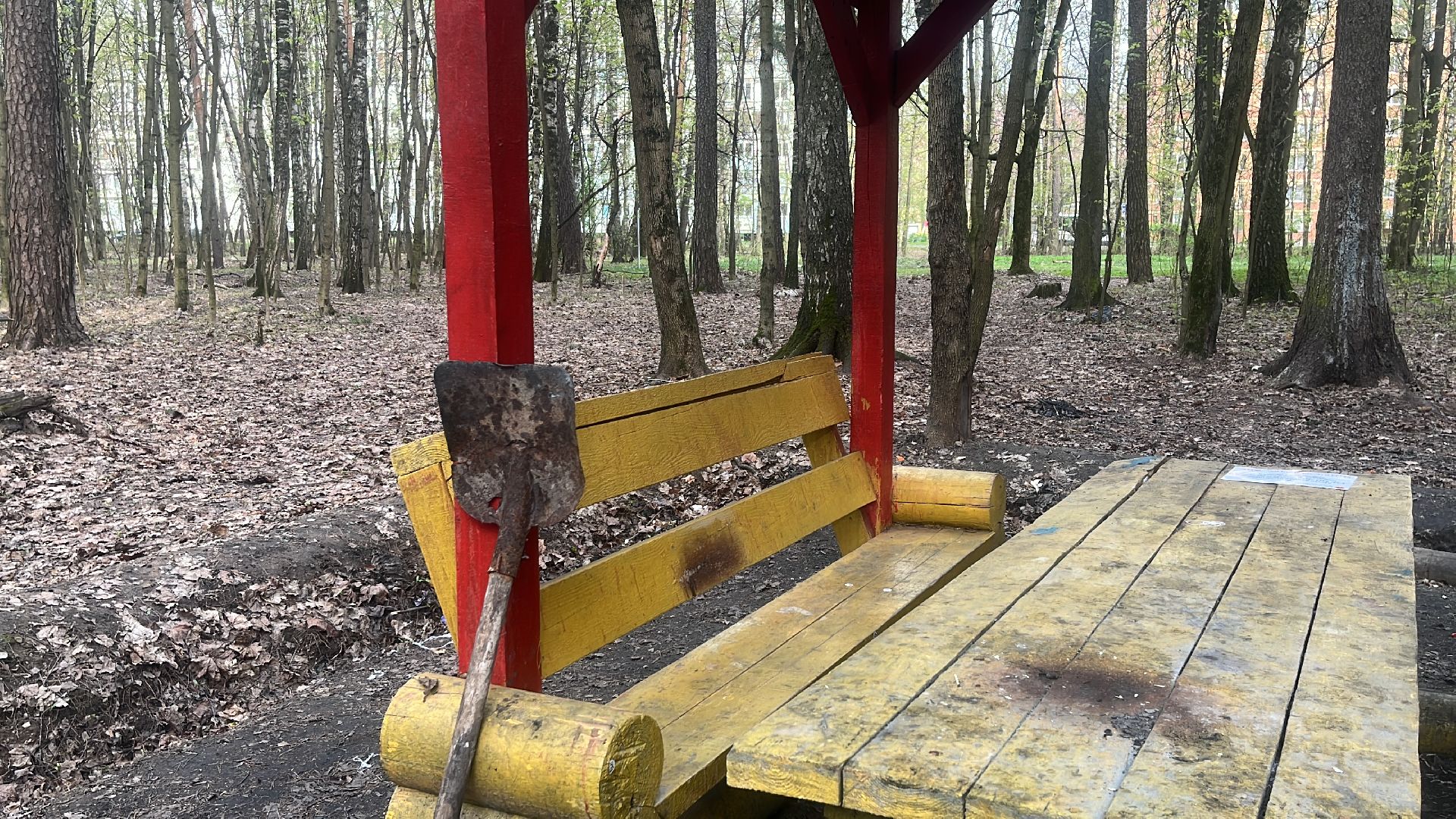 шашлык, шашлыки, шашлык в лесу, жарить шашлык, мангал, место для мангала,