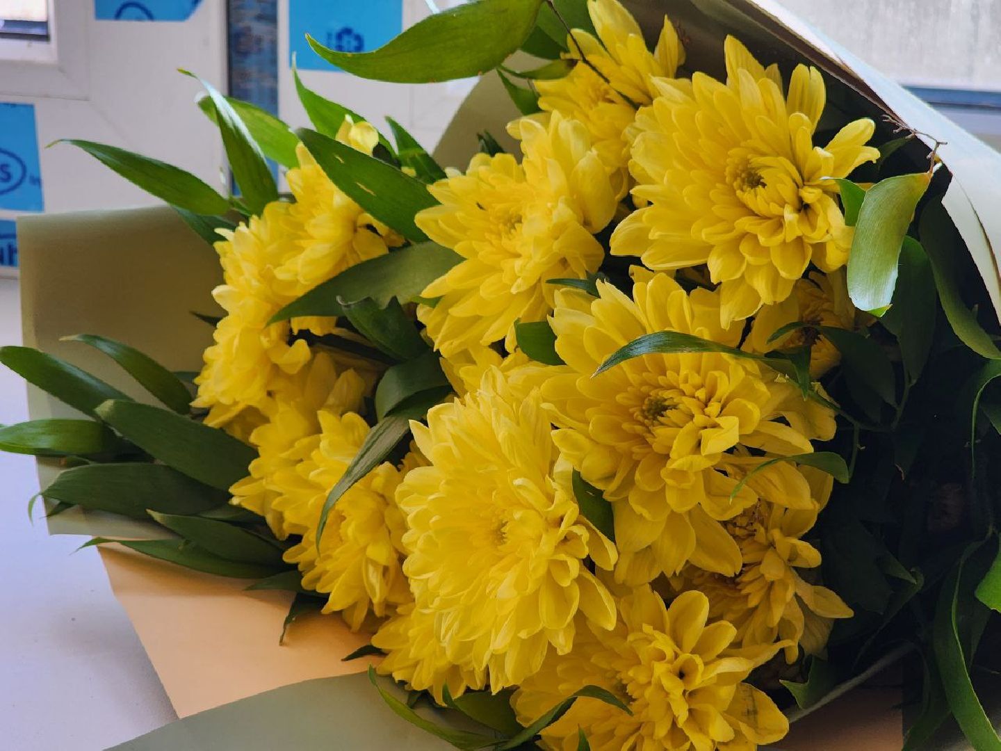 можайск, можайский городской округ, подмосковье, дольщики, обманутые дольщики, собственники долевого строительства, губернатор, глава, прокурор, квартиры, решение проблемы,