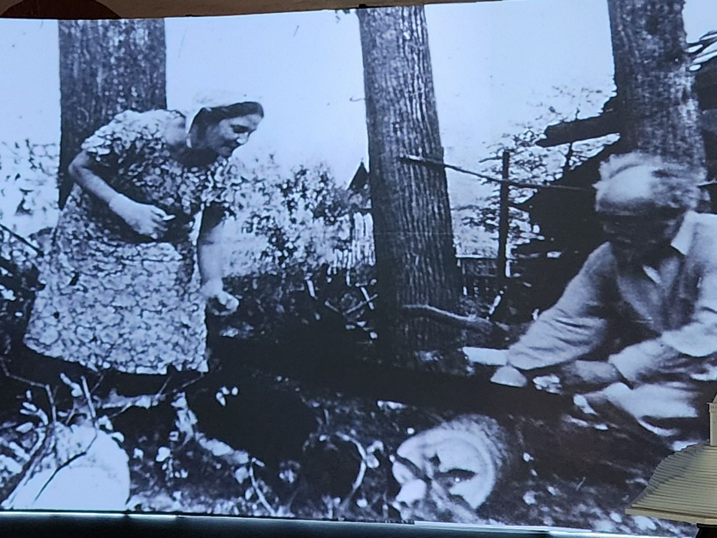 Звенигород, культура, Дом-музей Михаила Пришвина,