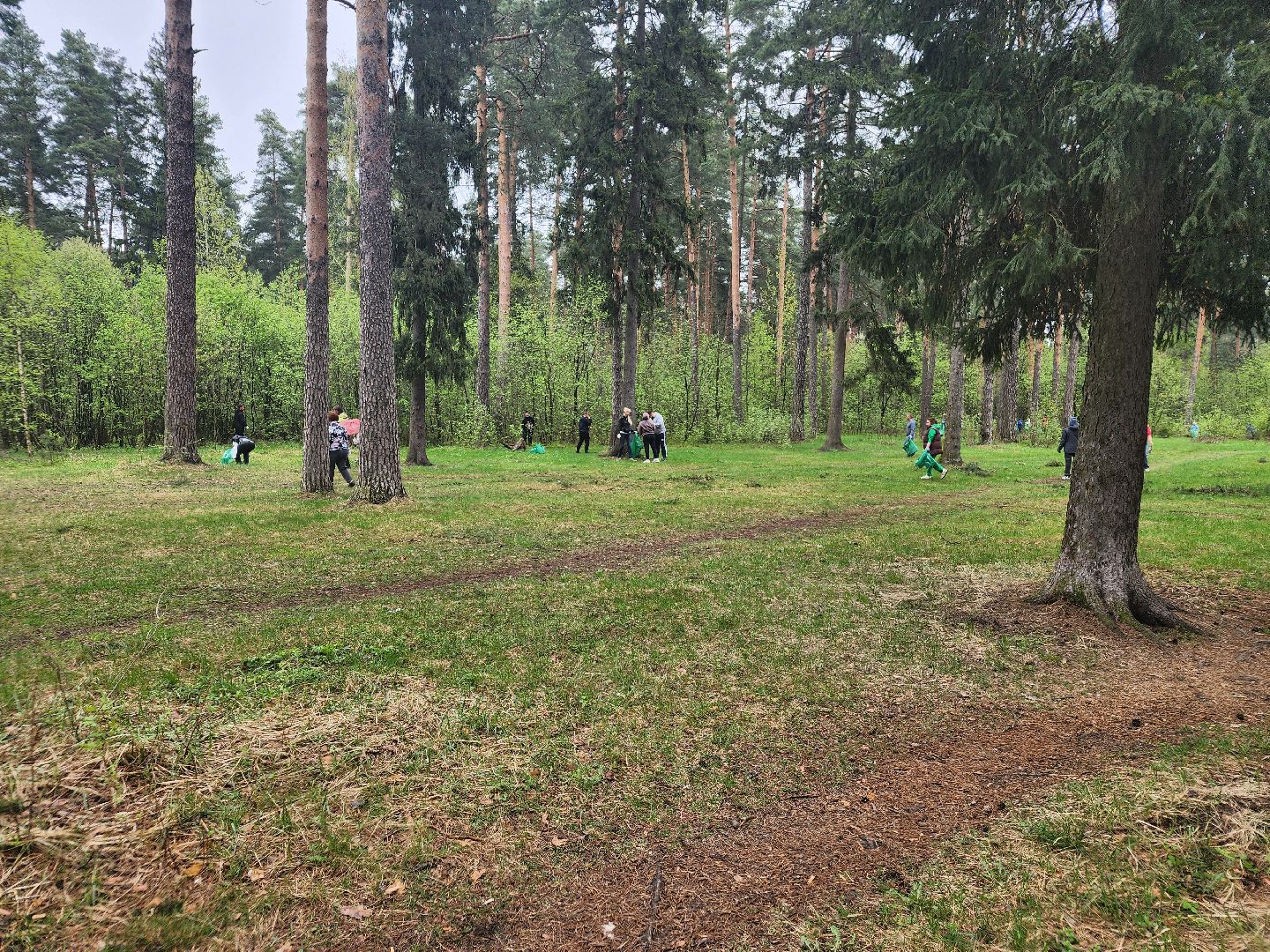 субботник, орехово-зуево,