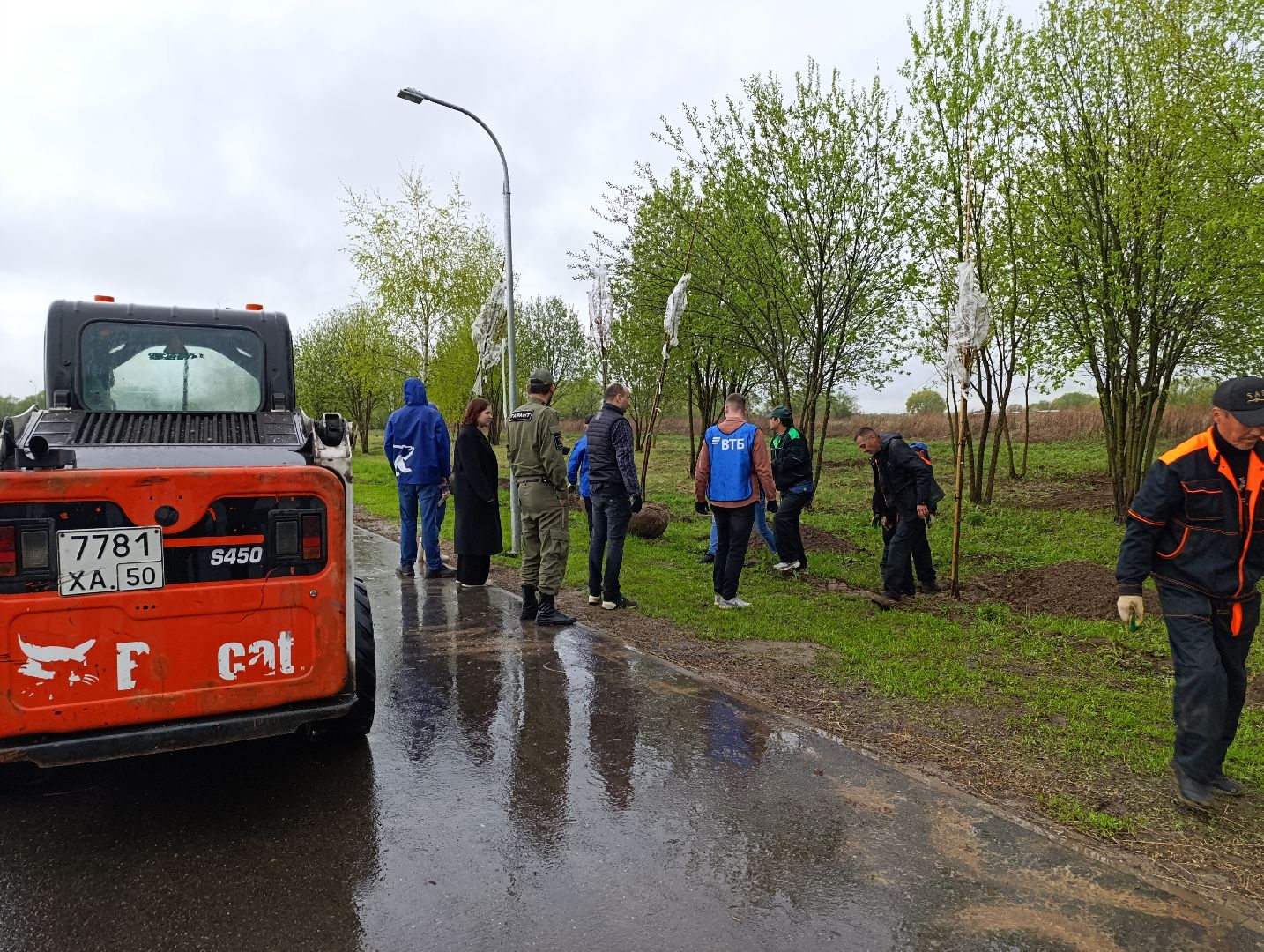 Бронницы, Парк, Бронницкий Луг, Посадка кленов, Благоустройство,