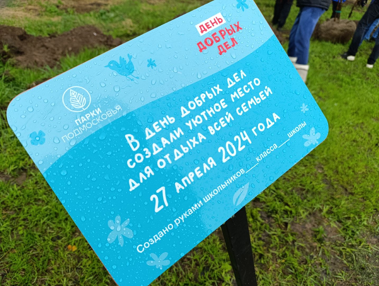 Бронницы, Парк, Бронницкий Луг, Посадка кленов, Благоустройство,
