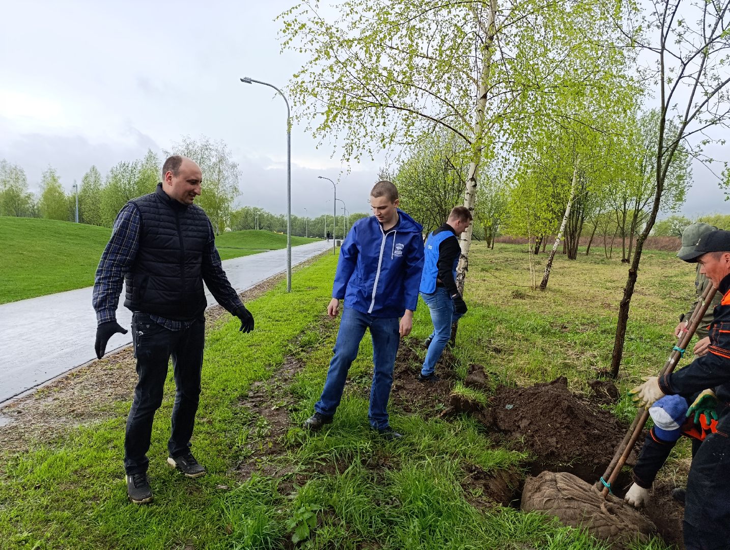 Бронницы, Парк, Бронницкий Луг, Посадка кленов, Благоустройство,