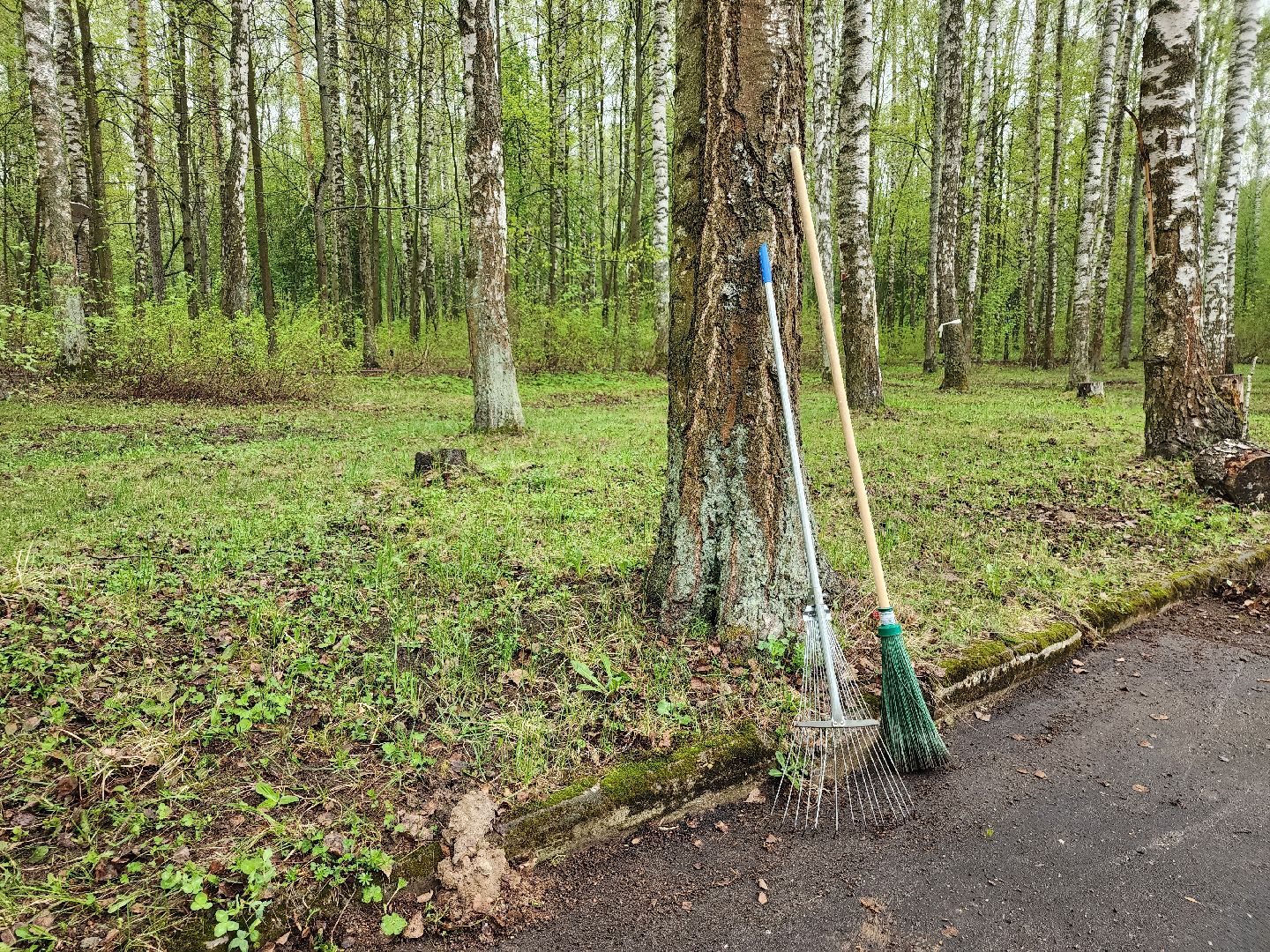 общеобластной субботник, уборка общественных территорий, месячник благоустройства, Ногинск, Богородский городской округ,