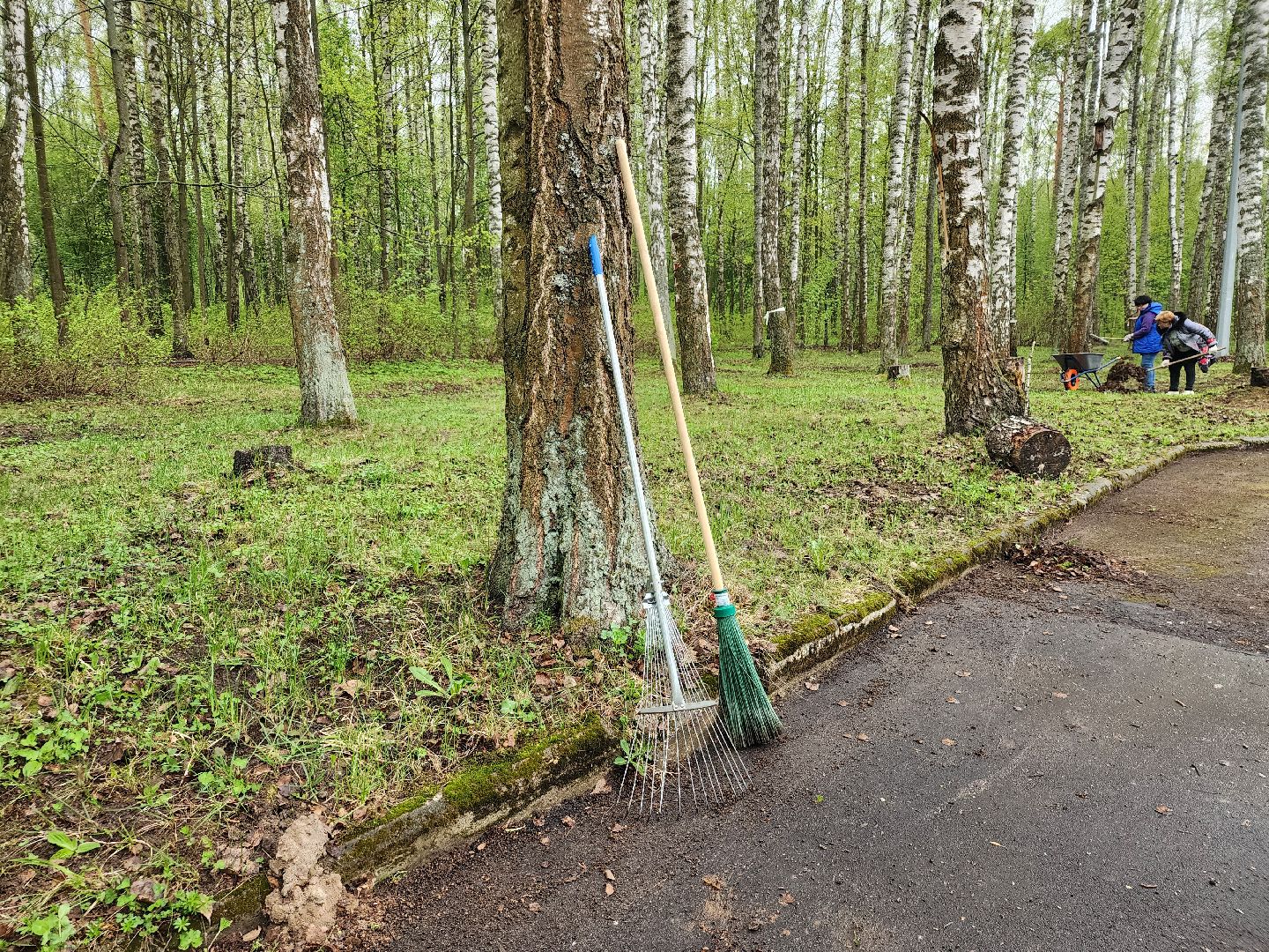 общеобластной субботник, уборка общественных территорий, месячник благоустройства, Ногинск, Богородский городской округ,