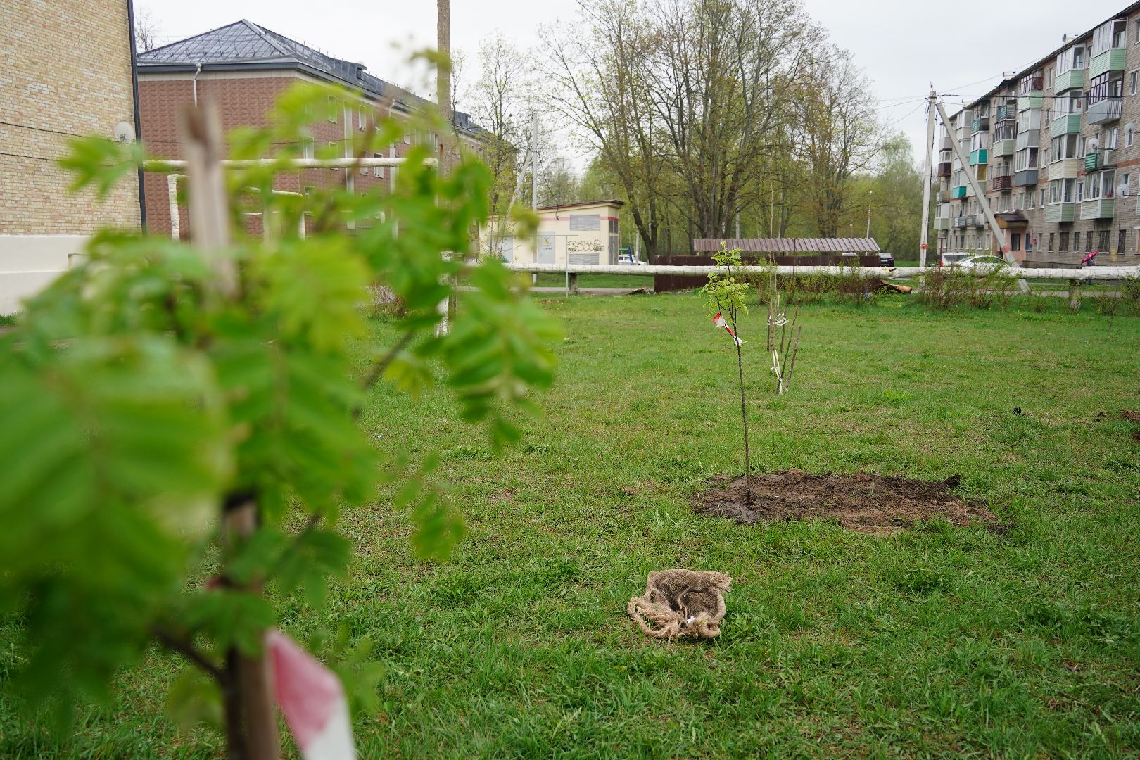 субботник, областной субботник, озеленение двора, Рошаль, Большая Шатура,