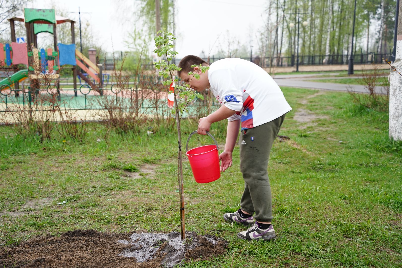 субботник, областной субботник, озеленение двора, Рошаль, Большая Шатура,