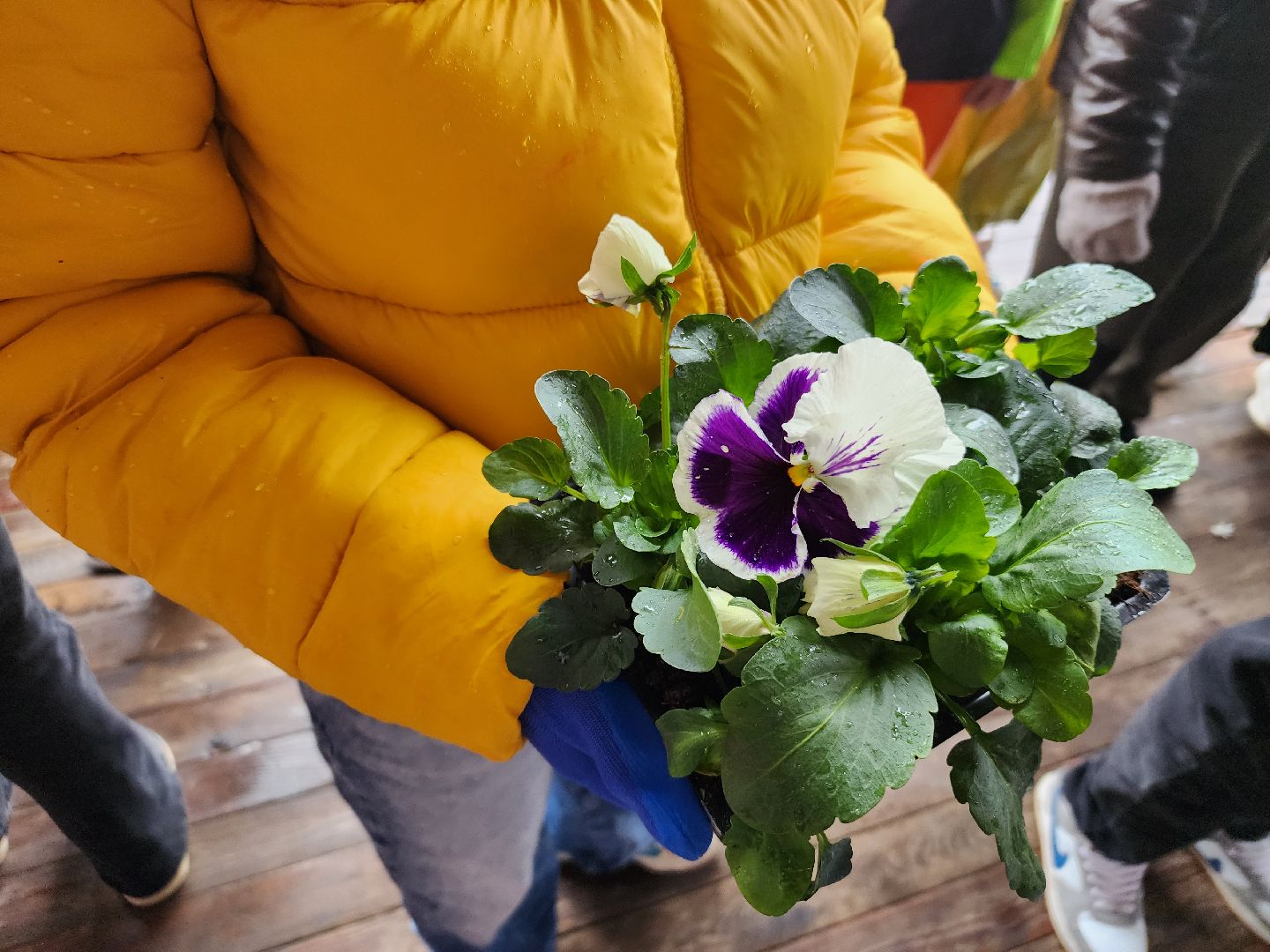 день добрых дел, орехово-зуево,