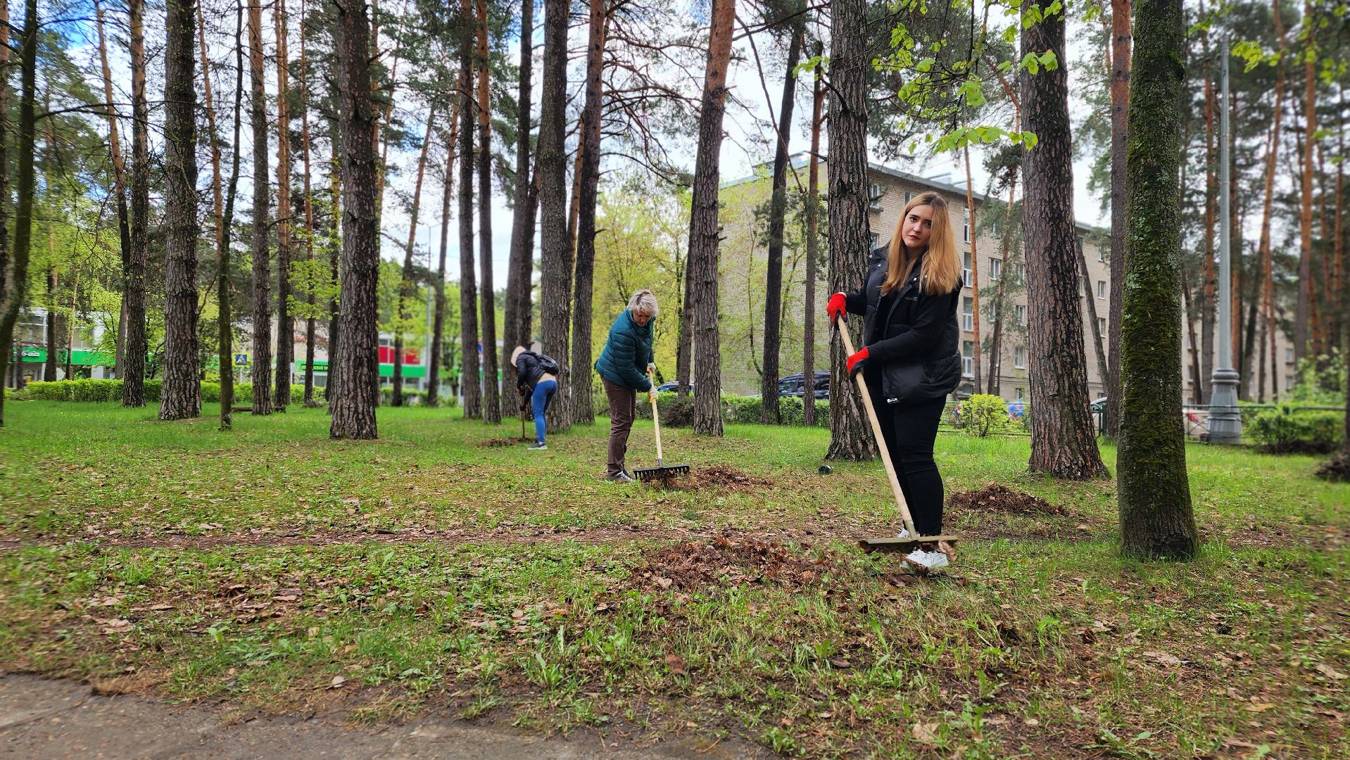 протвино, ддд, день добрых дел, субботник, общегородской субботник,