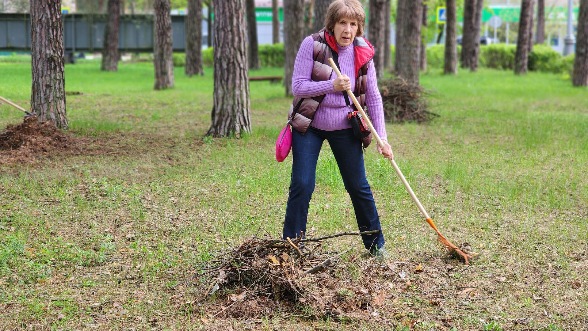протвино, ддд, день добрых дел, субботник, общегородской субботник,