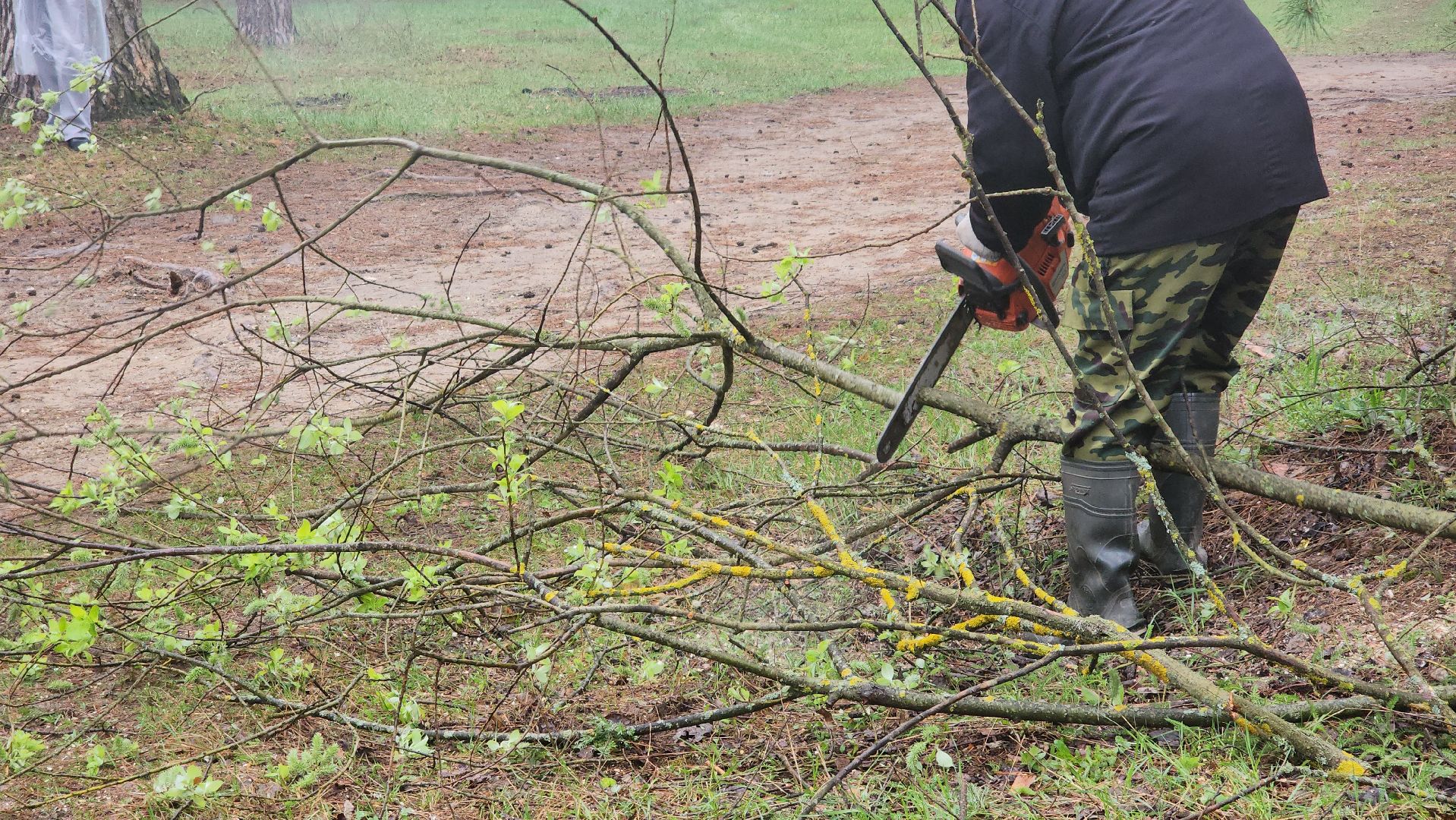 субботник, лес, лесничество, уборка, областной субботник, егорьевск, Бреховская,