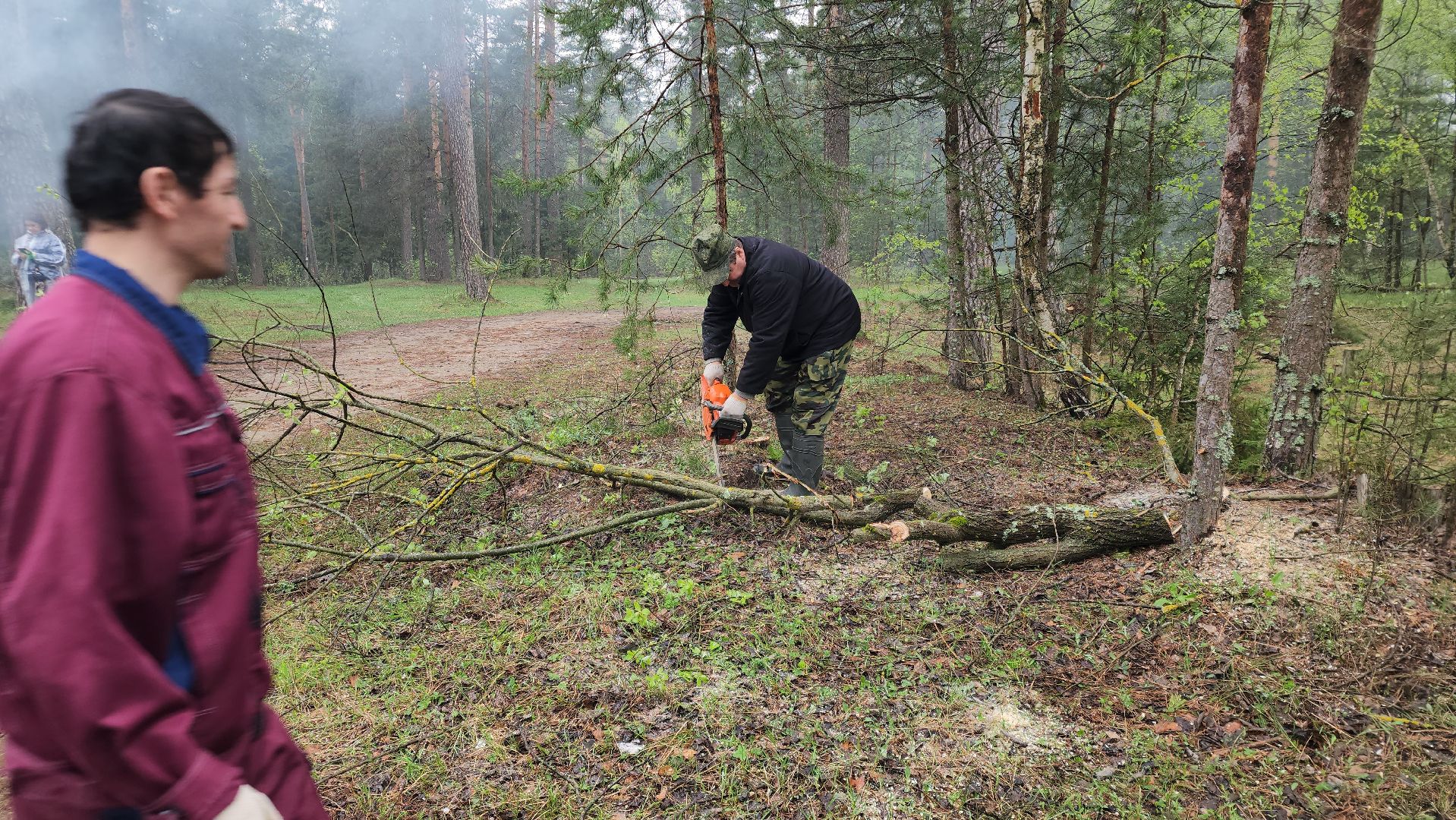 субботник, лес, лесничество, уборка, областной субботник, егорьевск, Бреховская,