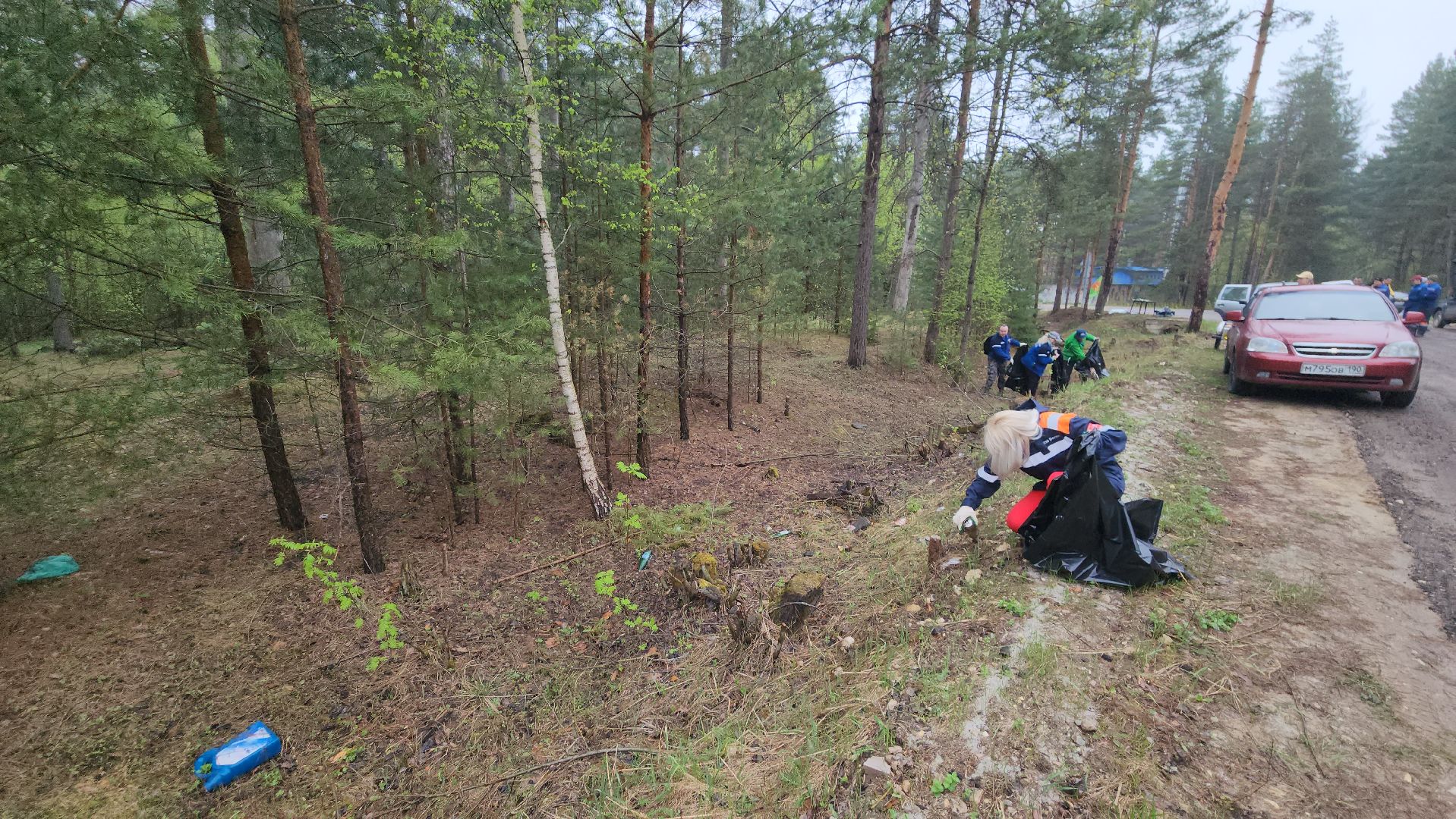 субботник, лес, лесничество, уборка, областной субботник, егорьевск, Бреховская,