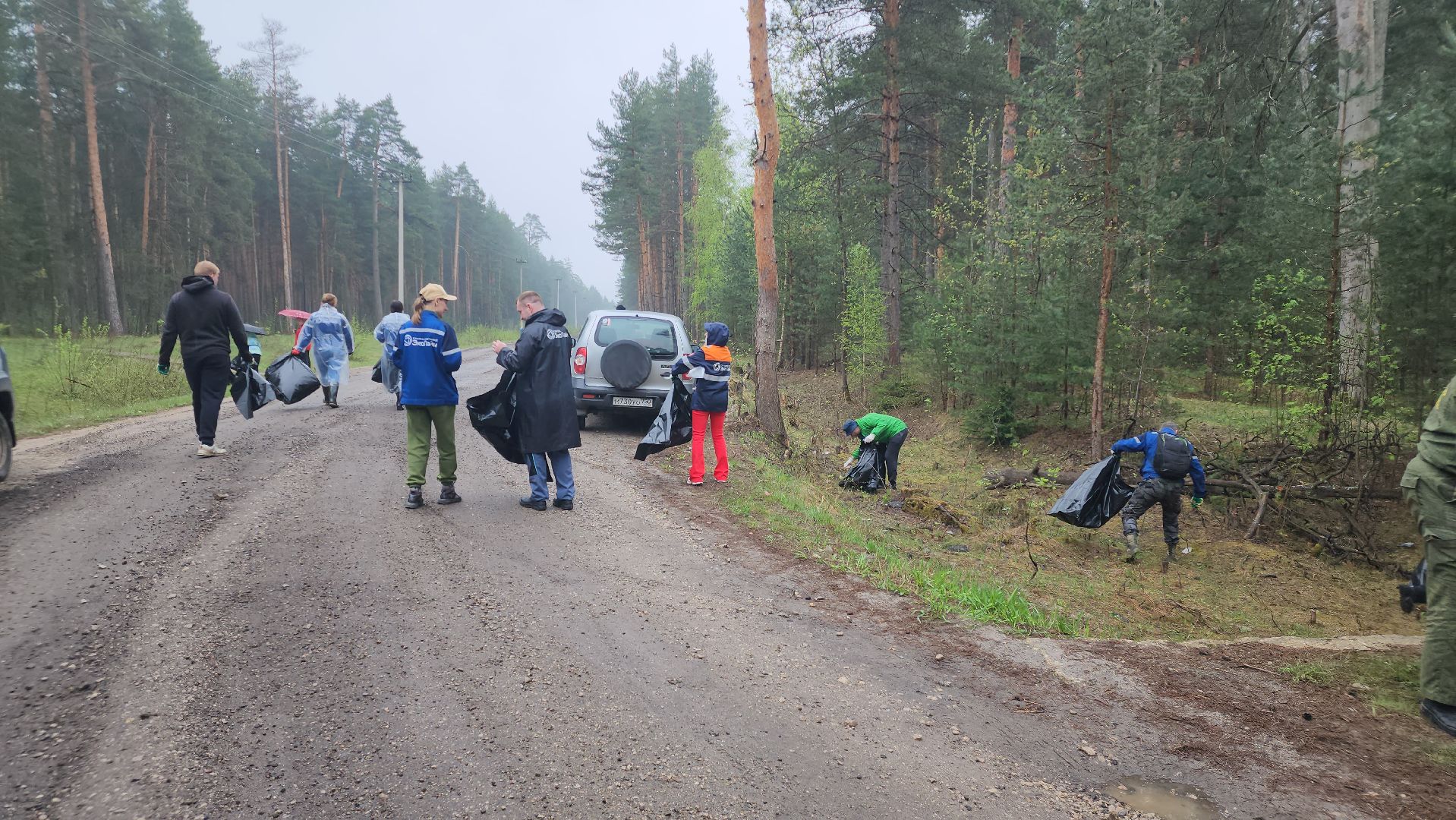 субботник, лес, лесничество, уборка, областной субботник, егорьевск, Бреховская,