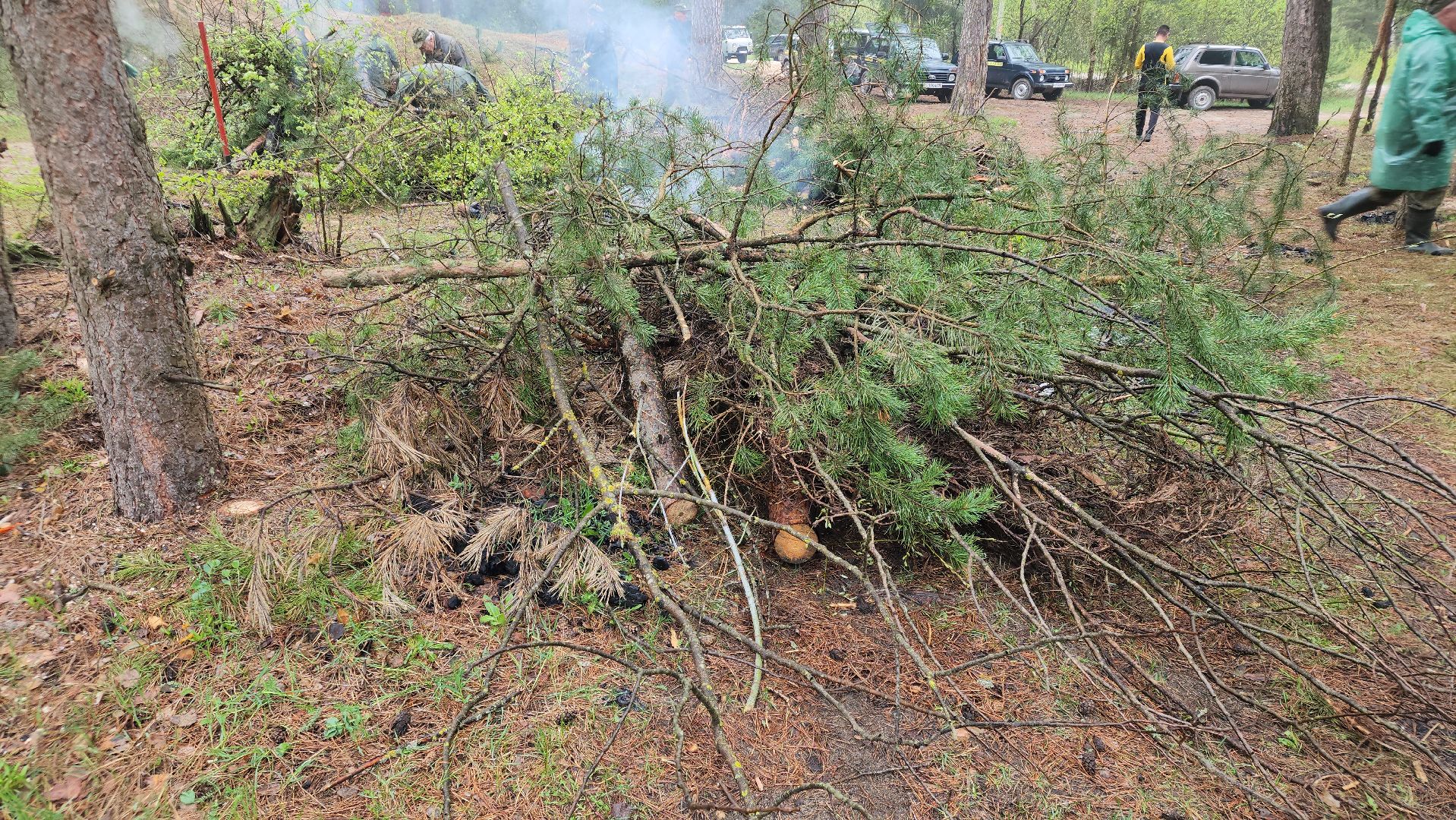 субботник, лес, лесничество, уборка, областной субботник, егорьевск, Бреховская,