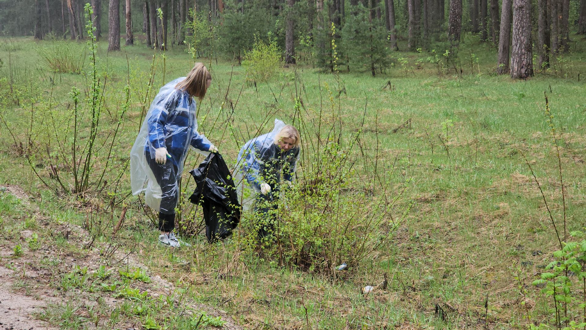 субботник, лес, лесничество, уборка, областной субботник, егорьевск, Бреховская,